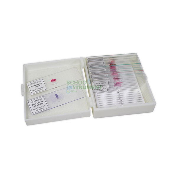 Biology Prepared Slide Set of 12